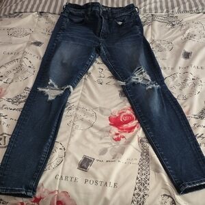 American Eagle Outfitters Dark Blue Distressed Skinny Jeans
